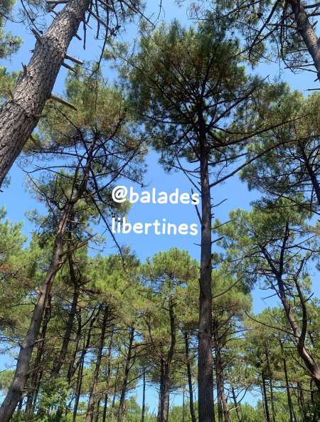 44 GUERANDE DRIVE @BALADES SORTIES LIBERTINES