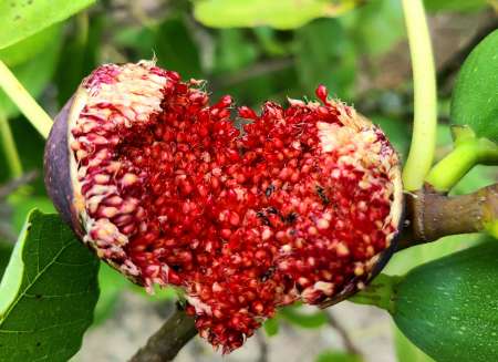 Massages d�tente sensuel