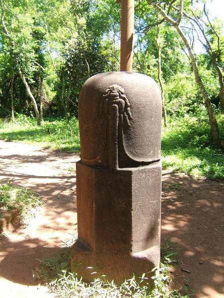 Stimulation du lingam par homme expert